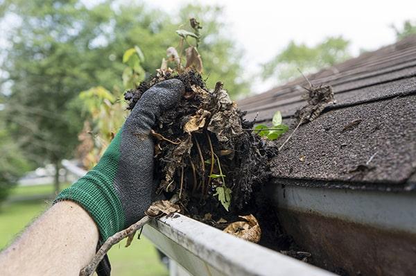 regular gutter cleaning is recommended at least twice a year to prevent clogs and damage